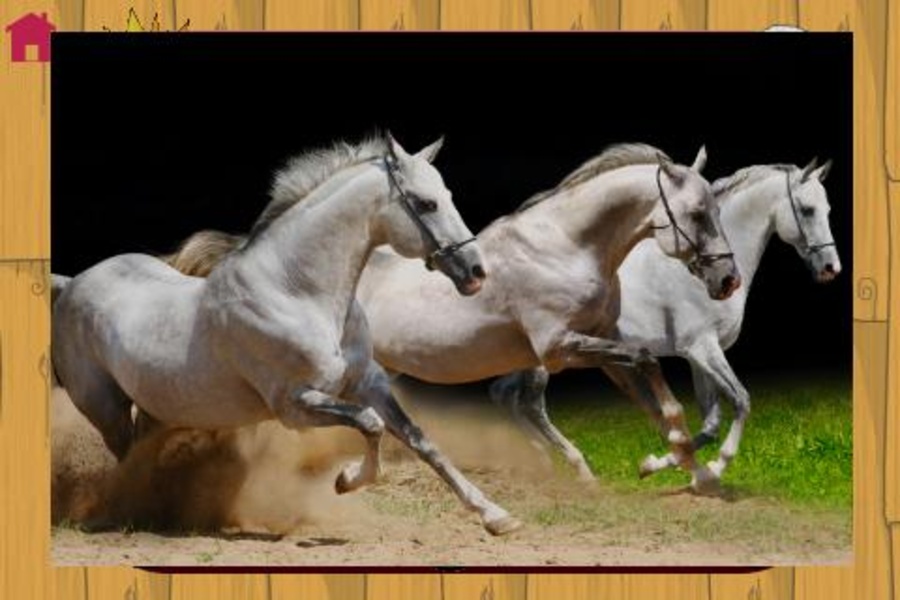 mybabyloveshorses - Preview 12