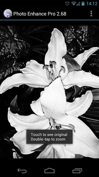 Photo Enhance - Preview 3