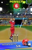 Slog Cricket screenshot 5