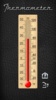 Thermometer screenshot 2