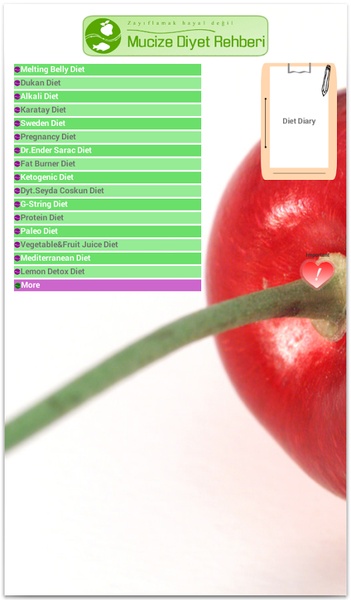 Miracle Diet Guide - Preview 2
