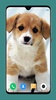 Dog Wallpaper 4K screenshot 4