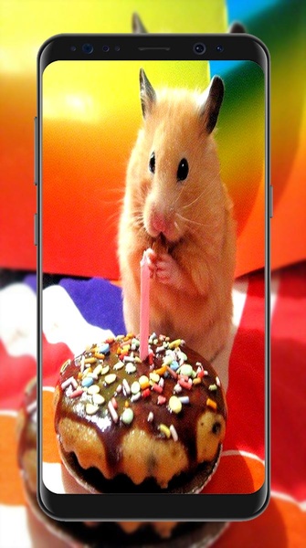 Cute Hamster Wallpapers - Preview 1