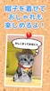 ねこ育成ゲーム - 子猫をのんびり育てる癒しの猫育成ゲーム screenshot 2