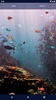 Ocean Fish Live Wallpaper 4K screenshot 5
