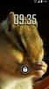 Chipmunk Live Wallpaper screenshot 6