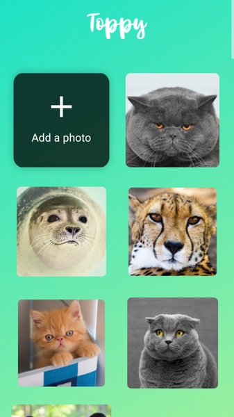 Talking Animals - Preview 11