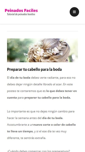 Peinados Faciles y sencillos - Preview 1