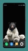 Cute Teddy Bear wallpaper screenshot 11