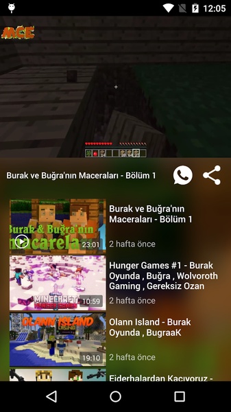 Minecraft Evi - Preview 1