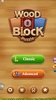 Wood Block Puzzle Classic screenshot 5