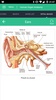 Human Organs Anatomy Reference screenshot 5