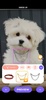 PetStar screenshot 3