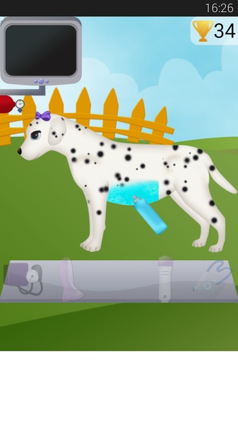 Dog Pregnancy - Preview 3
