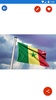 Senegal Flag Wallpaper: Flags and Country Images screenshot 3