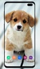 Puppy Wallpaper screenshot 6