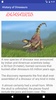 Dinosaurs -A Brief History screenshot 4