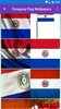 Paraguay Flag Wallpaper: Flags and Country Images screenshot 4