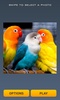 Cute Birds Puzzle screenshot 5