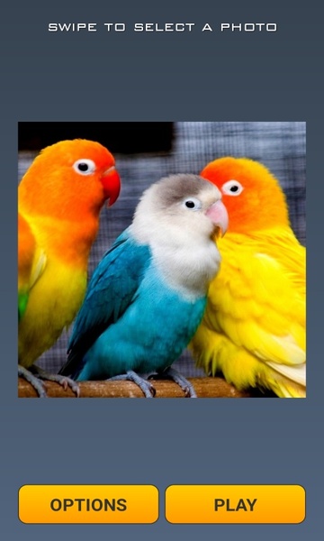 Cute Birds Puzzle - Preview 5
