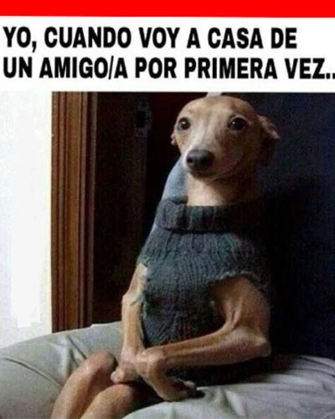 graciosas imagenes 2 - Preview 1