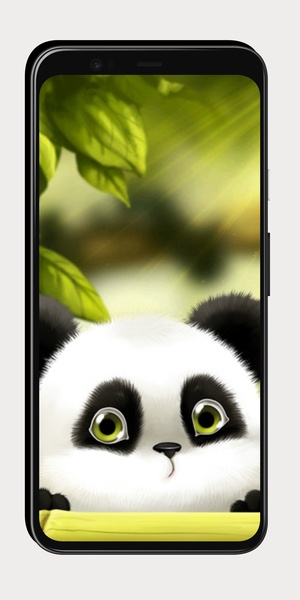 Baby Panda Wallpaper - Preview 1