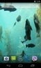 Aquarium HD Live Wallpaper screenshot 2