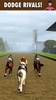 Equestrian Horse Racing Game screenshot 4