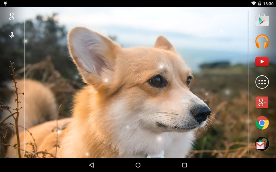 Puppies - Preview 2