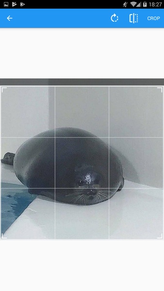 Cupace - Preview 8