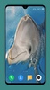 Dolphin Wallpaper HD screenshot 8