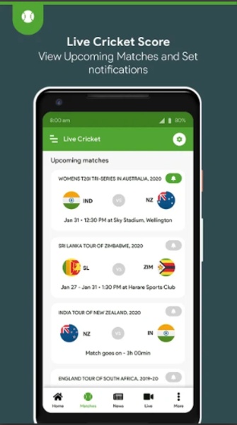 Live Cricket Score - Preview 3