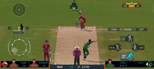 Real Cricket screenshot 3