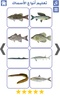 أنواع الأسماك و صور أسماك screenshot 2