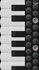Piano Accordion screenshot 2