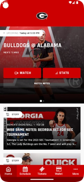 UGA Bulldogs - Preview 3