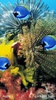 3D Aquarium Live Wallpaper screenshot 1