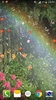 Rose Droplets Live Wallpaper screenshot 1