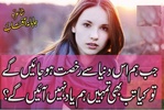 Urdu Design Poetry screenshot 1