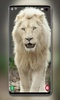 White Lion Wallpaper screenshot 10