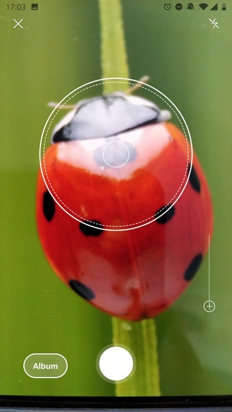 Picture Insect - Insect Id Pro - Preview 1
