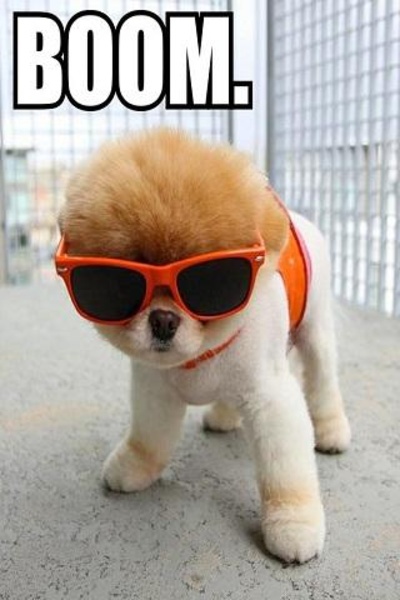 Funny Pics - Preview 4