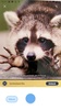 Picture Animal - Animal ID Pro screenshot 10