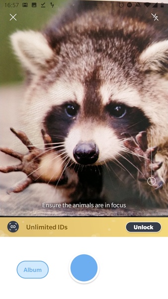 Picture Animal - Animal ID Pro - Preview 10