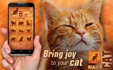 BlaBlaCat: Cats Sounds screenshot 2