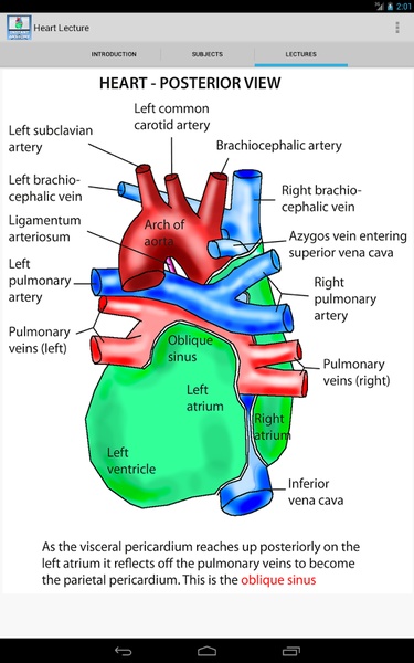Heart Lecture - Preview 3