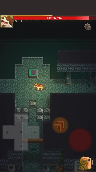 Doggo Dungeon: A Dog