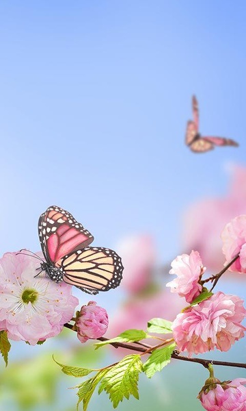 Spring Flowers Live Wallpaper - Preview 3