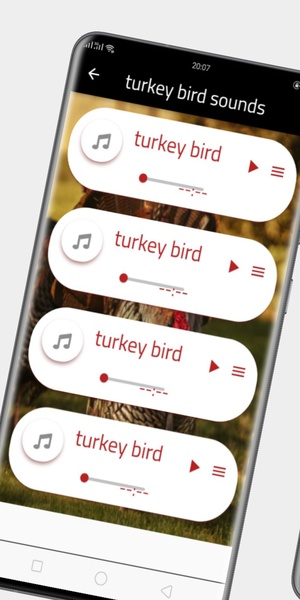 turkey bird sounds - Preview 4