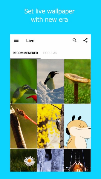 Era Wallpaper - Live & HD Wallpapers (Backgrounds) - Preview 8